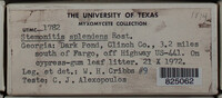 Image Associated With the Occurence